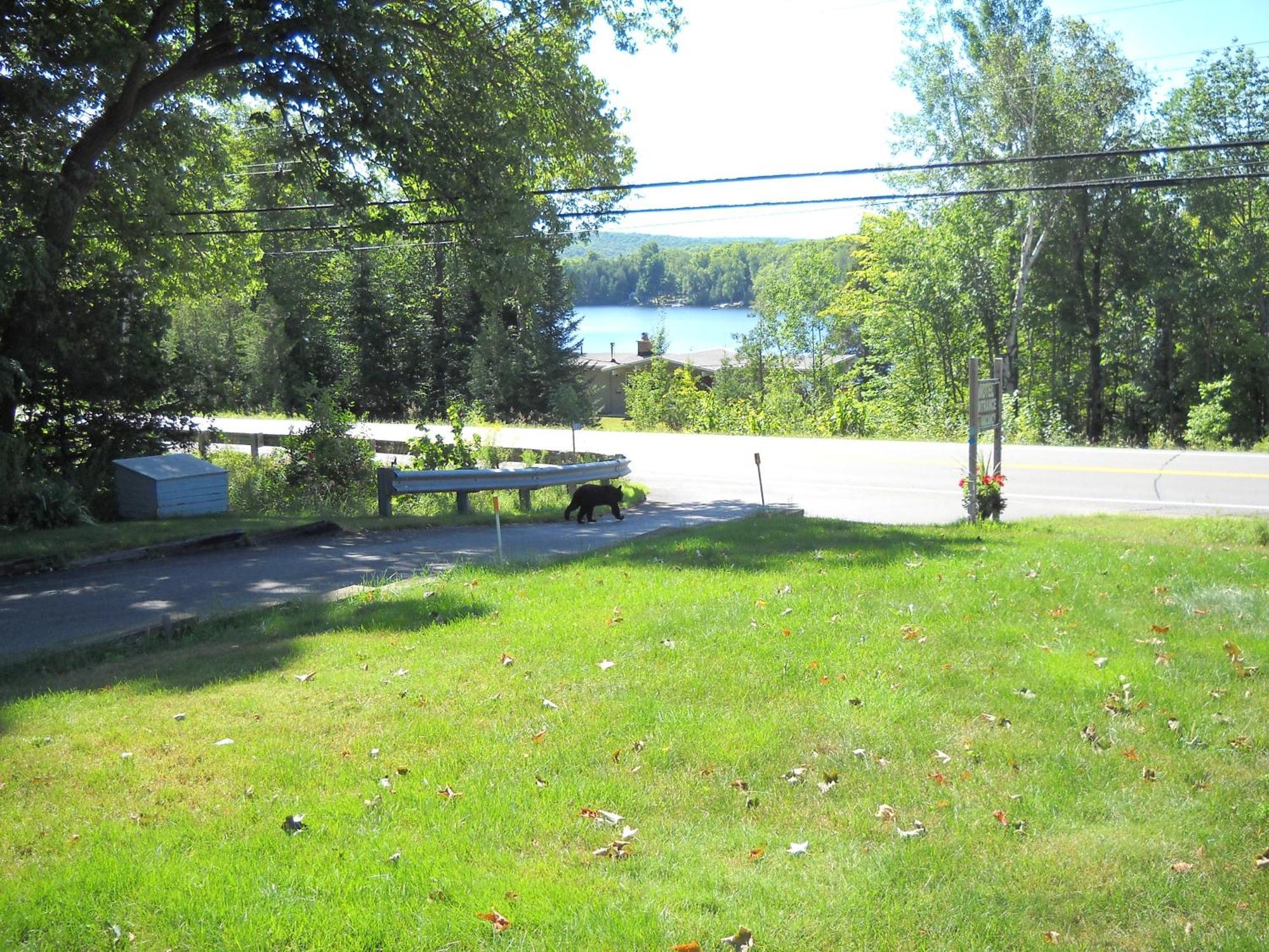 Lakeview Motel Haliburton Εξωτερικό φωτογραφία